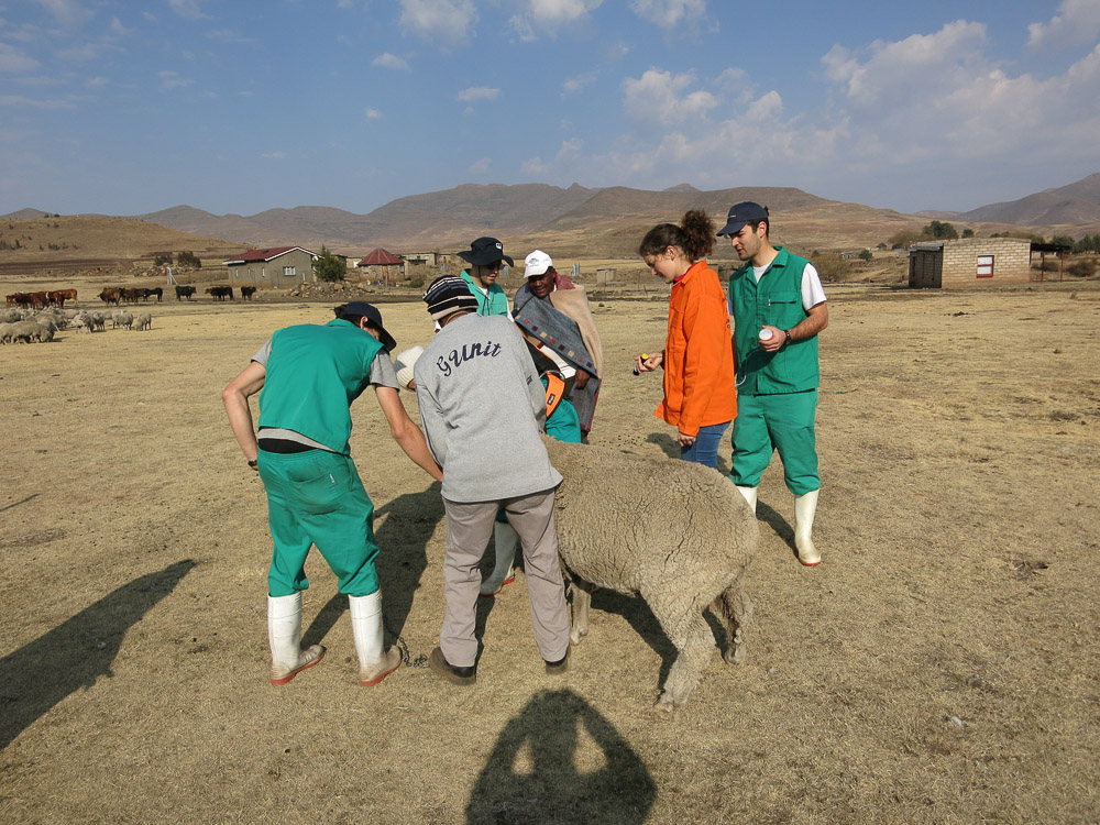 Semonkong Hospital Project