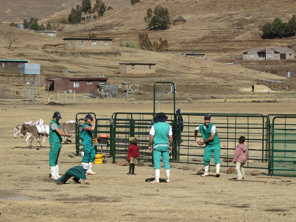 Semonkong Hospital Project
