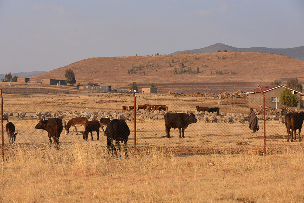 Semonkong Hospital Project