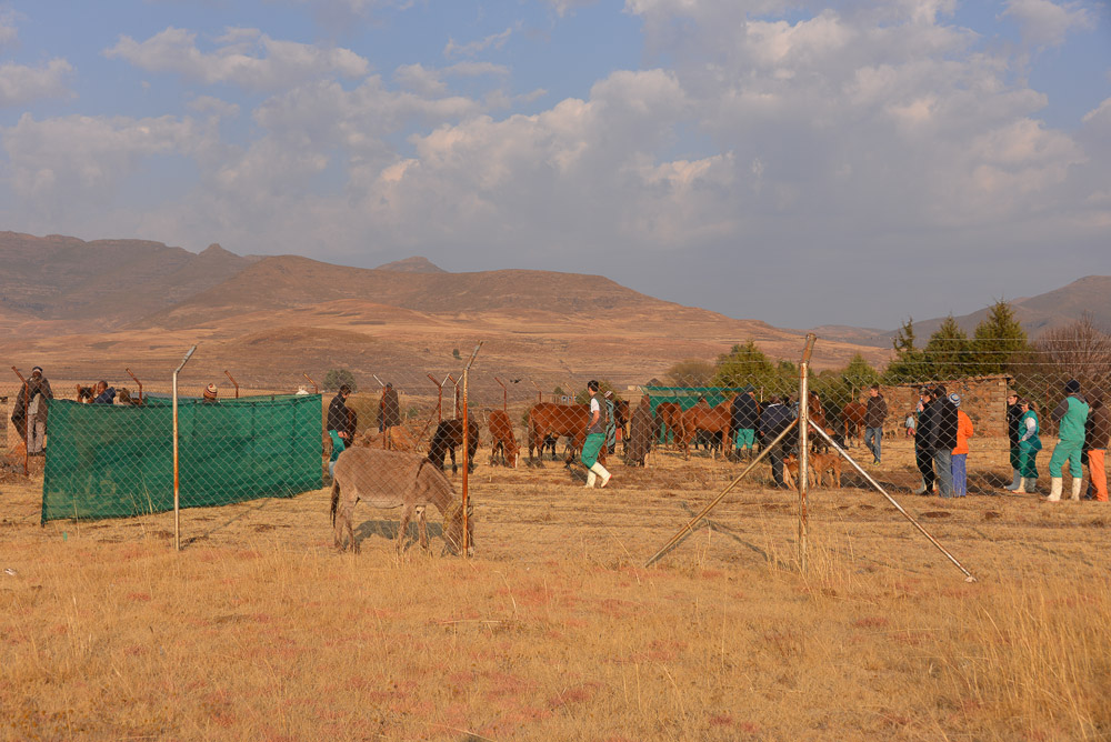 Semonkong Hospital Project