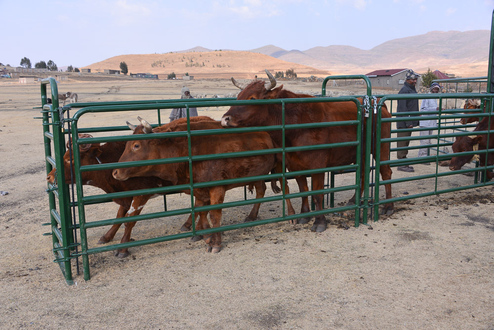 Semonkong Hospital Project