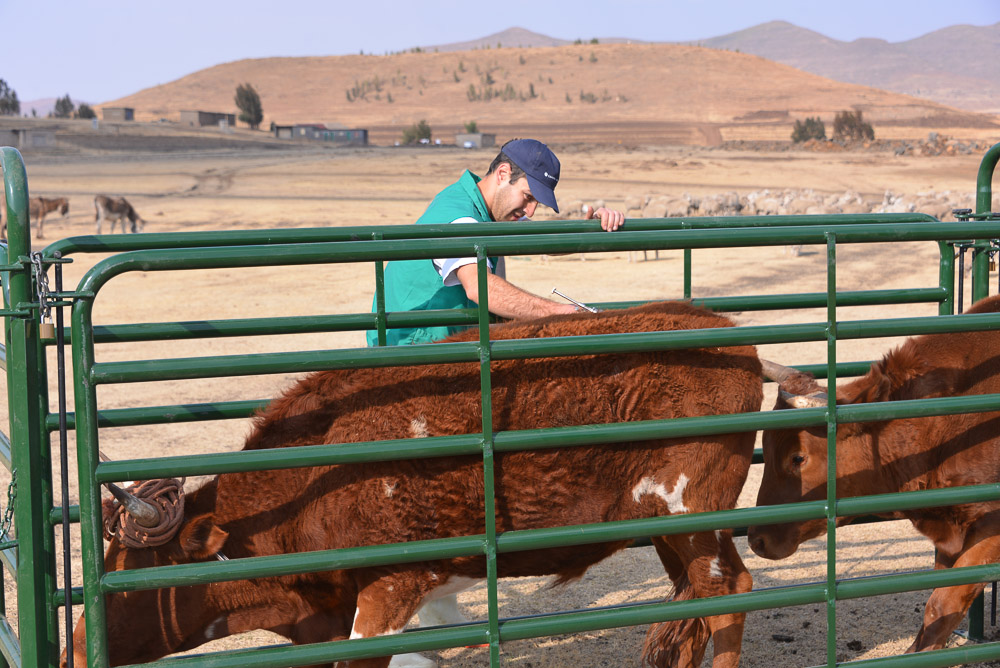 Semonkong Hospital Project