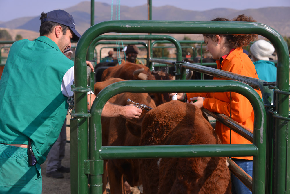 Semonkong Hospital Project