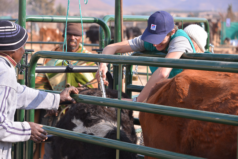 Semonkong Hospital Project
