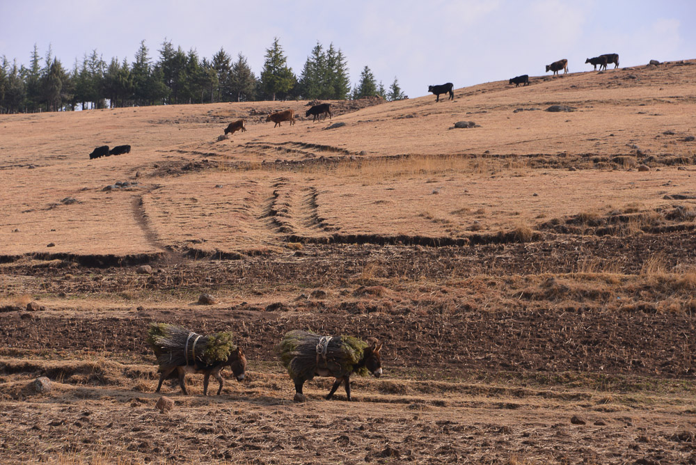 Semonkong Hospital Project