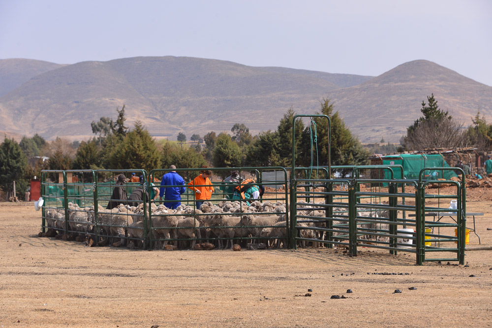 Semonkong Hospital Project