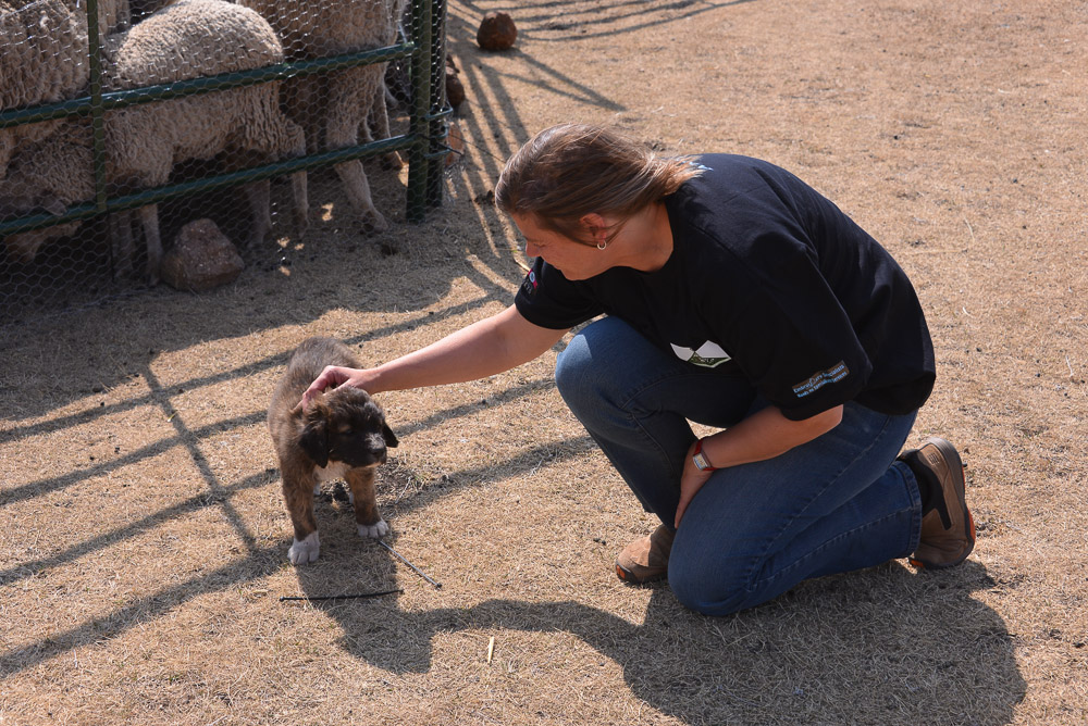 Semonkong Hospital Project