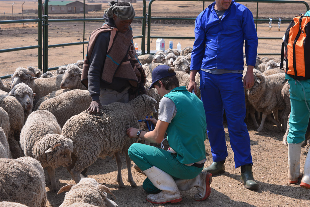 Semonkong Hospital Project