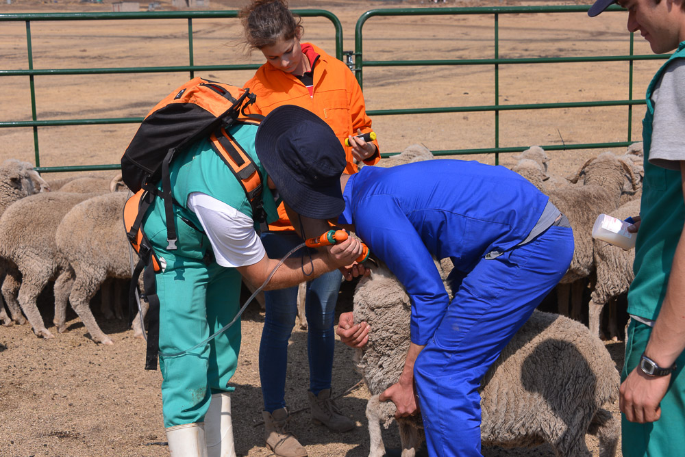Semonkong Hospital Project
