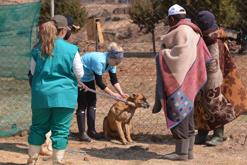 Semonkong Hospital Project