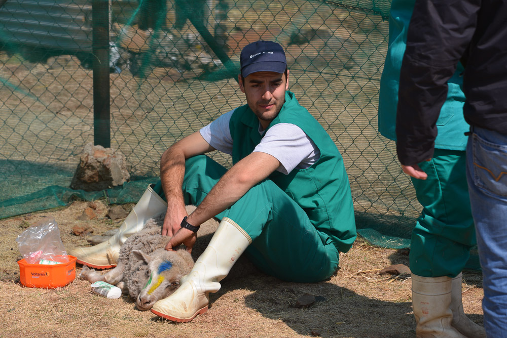 Semonkong Hospital Project