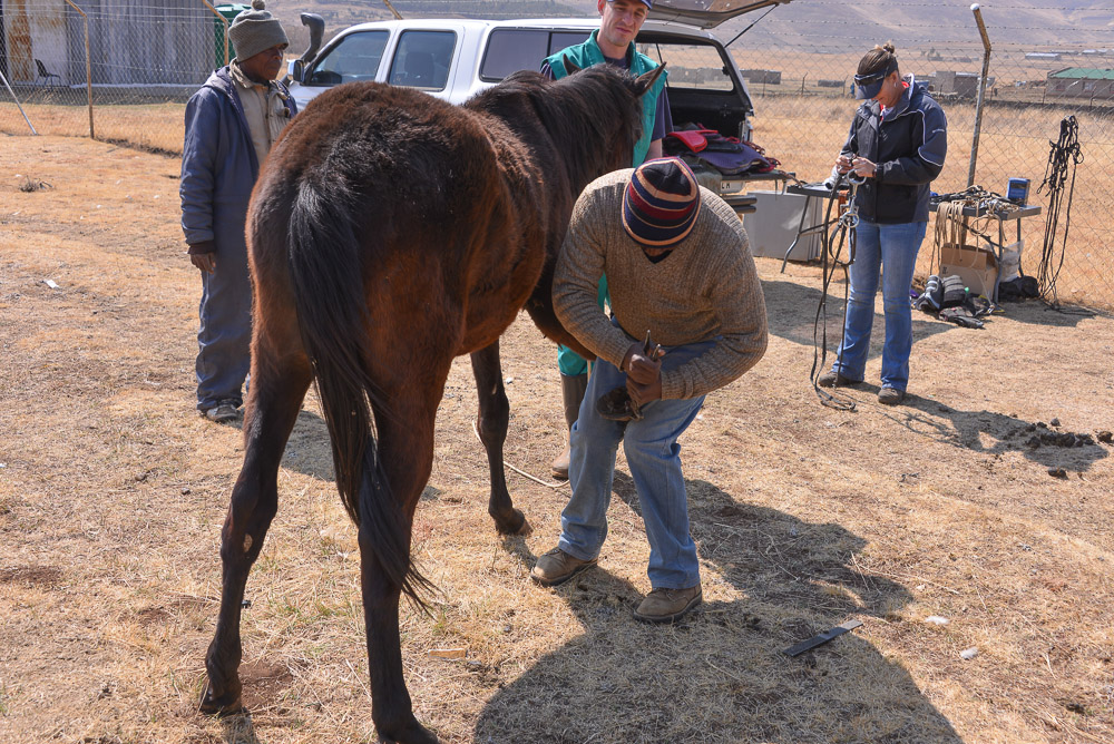 Semonkong Hospital Project